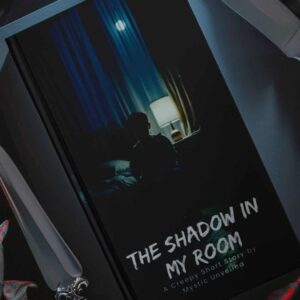 THE SHADOW IN MY ROOM